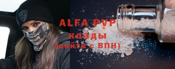 шишки Бородино