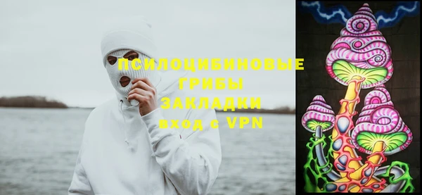 прущая мука Верхний Тагил