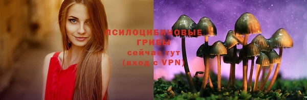 ALPHA PVP Верея